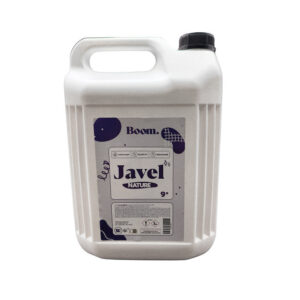 ent0001 eau de javel concentree 9p100 lot de 1 bidon de 5 litres