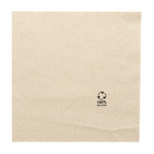 ent0030 serviette ecrue 30 x 30 cm 2 plis carton de 4000 serviettes
